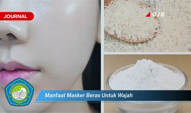 manfaat masker beras untuk wajah manfaat masker beras untuk wajah