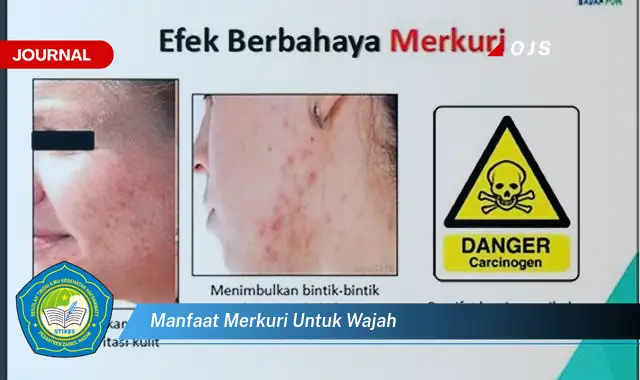 manfaat merkuri untuk wajah manfaat merkuri untuk wajah