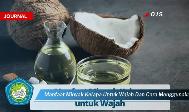 manfaat minyak kelapa untuk wajah dan cara menggunakannya manfaat minyak kelapa untuk wajah dan cara menggunakannya