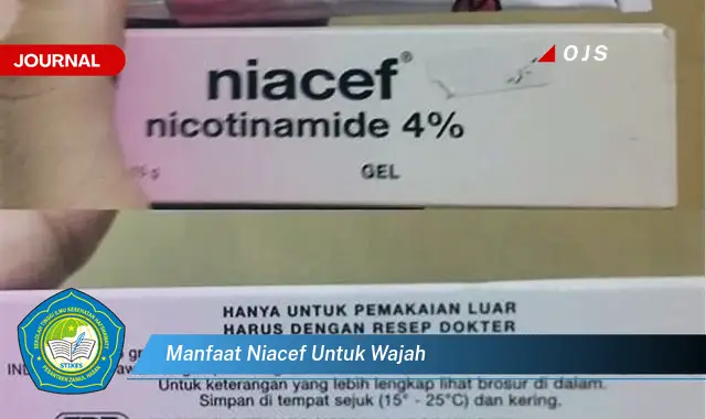 manfaat niacef untuk wajah