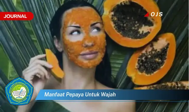 manfaat pepaya untuk wajah