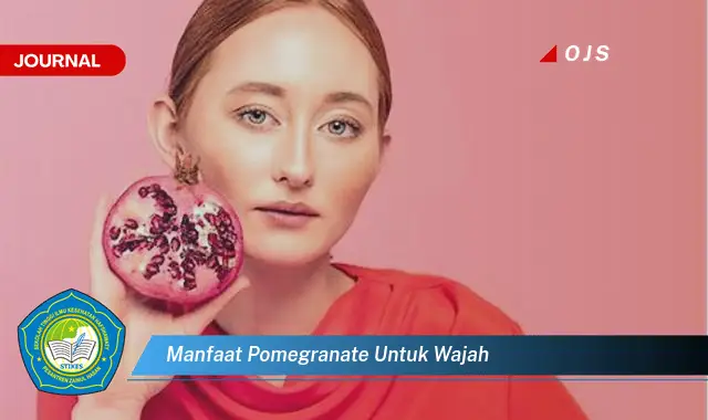 manfaat pomegranate untuk wajah