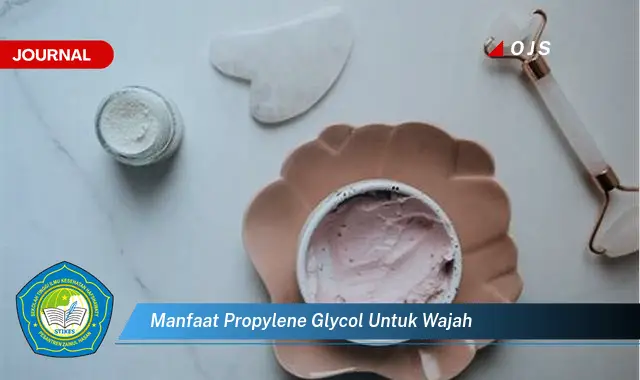 manfaat propylene glycol untuk wajah