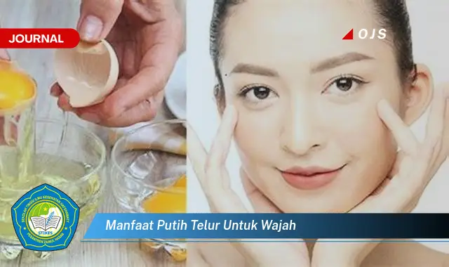 manfaat putih telur untuk wajah