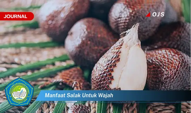 manfaat salak untuk wajah