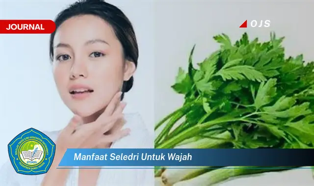 manfaat seledri untuk wajah manfaat seledri untuk wajah