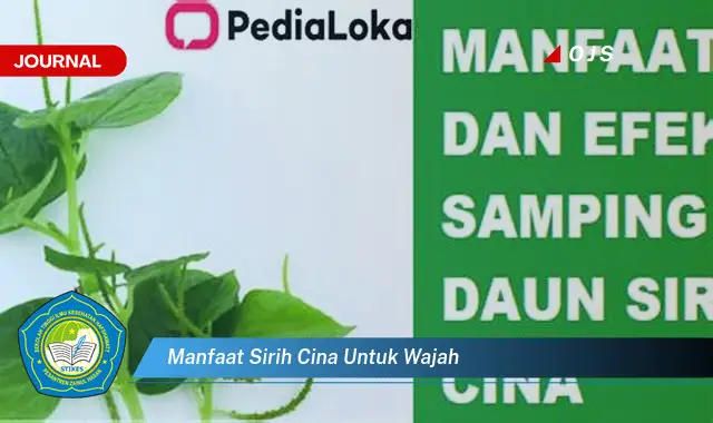 manfaat sirih cina untuk wajah manfaat sirih cina untuk wajah