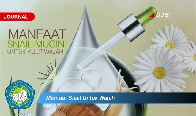 manfaat snail untuk wajah