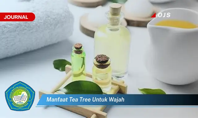 Temukan 7 Manfaat Tea Tree Oil untuk Wajah Berjerawat