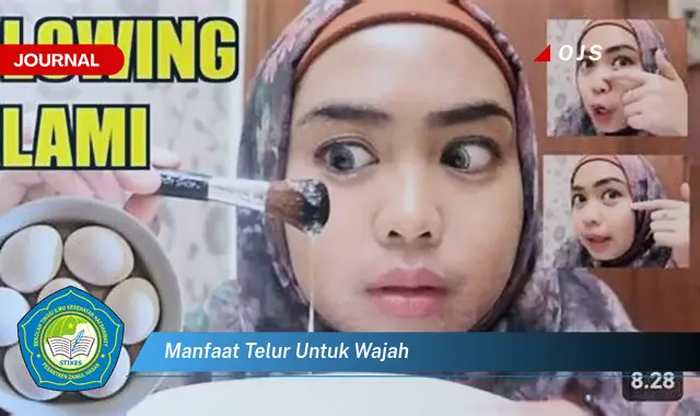 manfaat telur untuk wajah