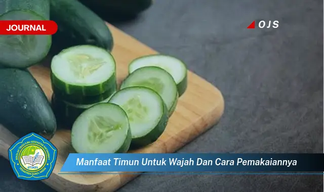 Ketahui 7 Manfaat Timun untuk Wajah Cerah Berseri