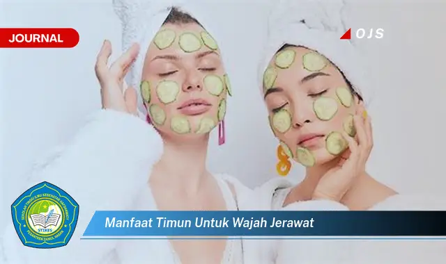 manfaat timun untuk wajah jerawat manfaat timun untuk wajah jerawat