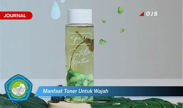 manfaat toner untuk wajah