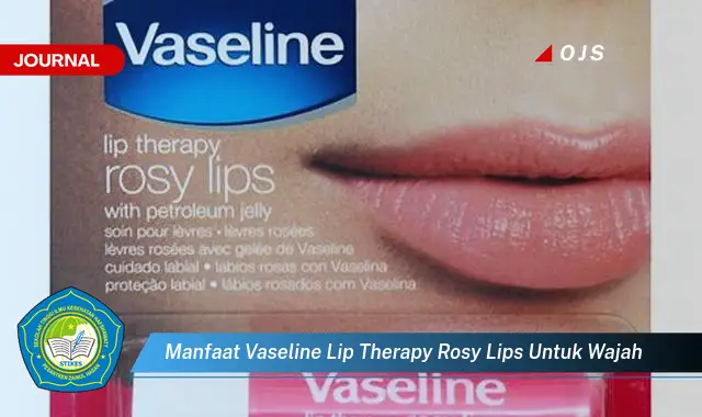 manfaat vaseline lip therapy rosy lips untuk wajah