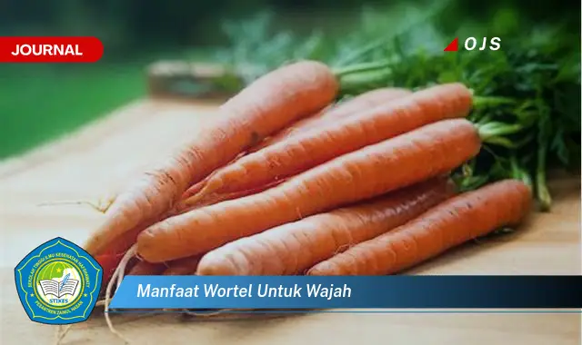 manfaat wortel untuk wajah