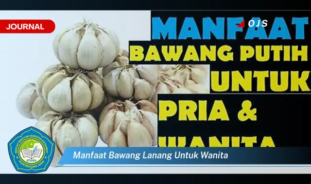 manfaat bawang lanang untuk wanita