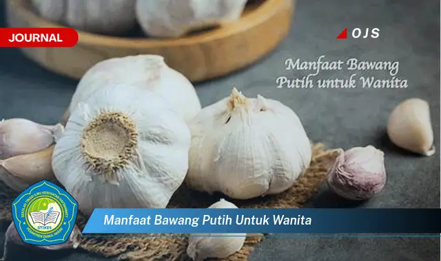manfaat bawang putih untuk wanita manfaat bawang putih untuk wanita