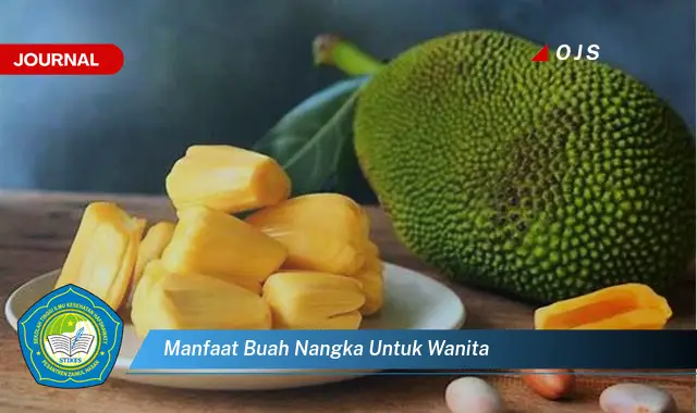 manfaat buah nangka untuk wanita manfaat buah nangka untuk wanita