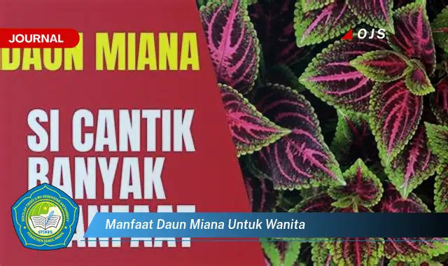 manfaat daun miana untuk wanita