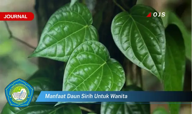 manfaat daun sirih untuk wanita