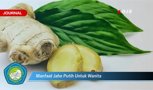 manfaat jahe putih untuk wanita manfaat jahe putih untuk wanita