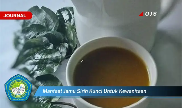 manfaat jamu sirih kunci untuk kewanitaan manfaat jamu sirih kunci untuk kewanitaan
