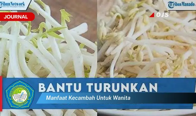 manfaat kecambah untuk wanita