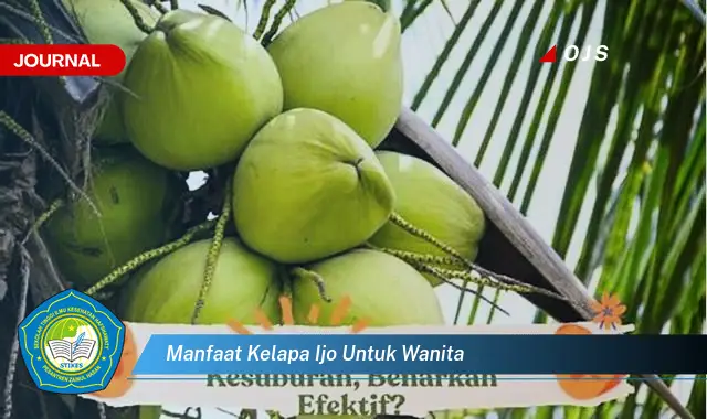 manfaat kelapa ijo untuk wanita manfaat kelapa ijo untuk wanita