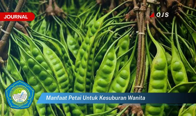 manfaat petai untuk kesuburan wanita