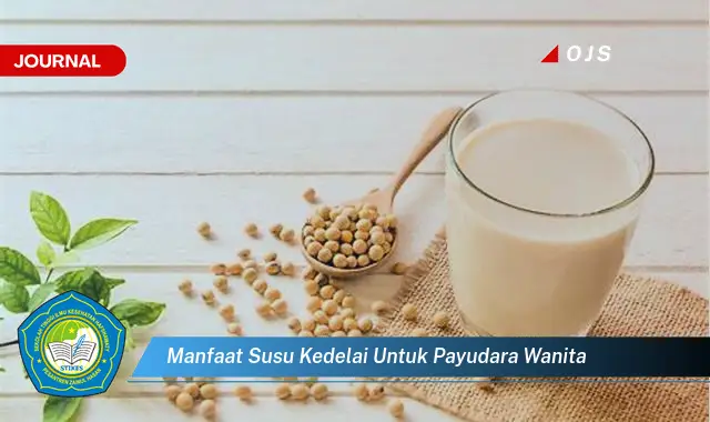 manfaat susu kedelai untuk payudara wanita