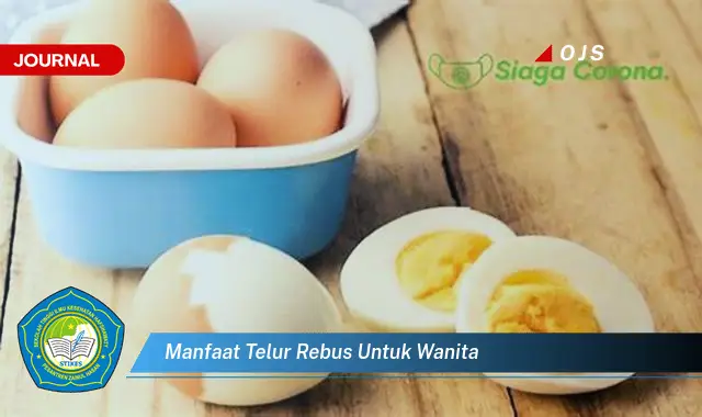 manfaat telur rebus untuk wanita manfaat telur rebus untuk wanita