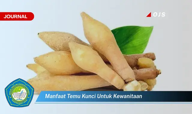 manfaat temu kunci untuk kewanitaan