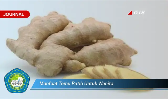 manfaat temu putih untuk wanita manfaat temu putih untuk wanita