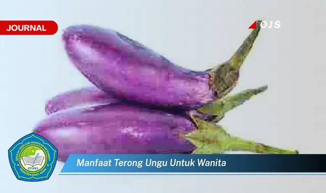 manfaat terong ungu untuk wanita