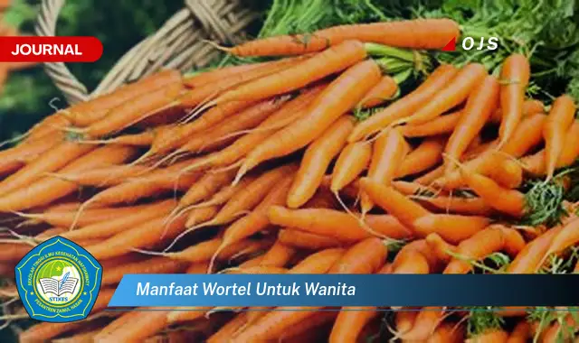 manfaat wortel untuk wanita manfaat wortel untuk wanita