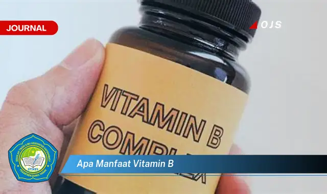 apa manfaat vitamin b apa manfaat vitamin b