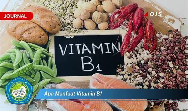 apa manfaat vitamin b1