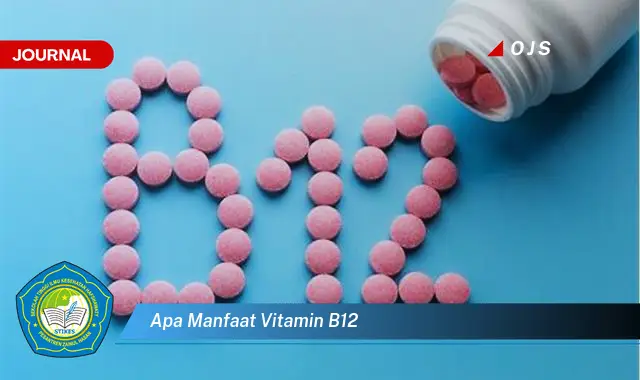 apa manfaat vitamin b12