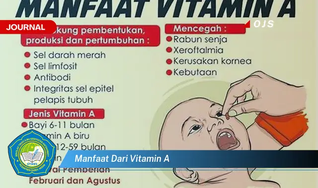 manfaat dari vitamin a