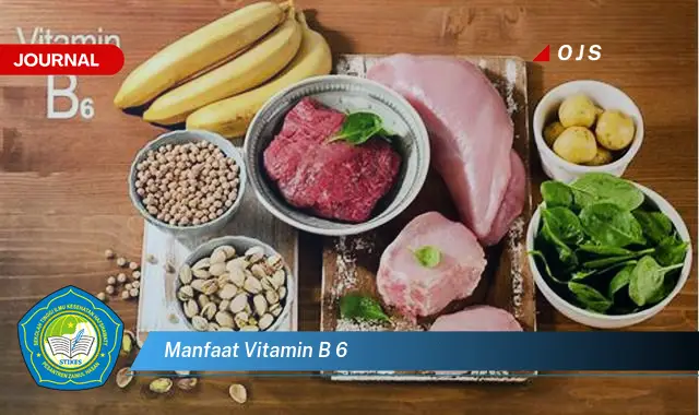 manfaat vitamin b 6 manfaat vitamin b 6