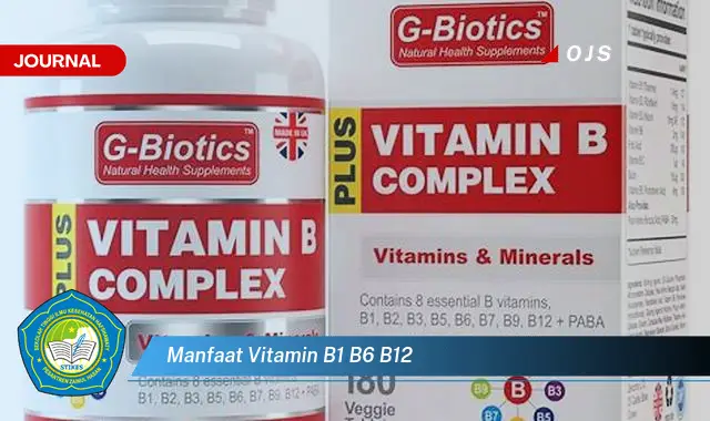 manfaat vitamin b1 b6 b12