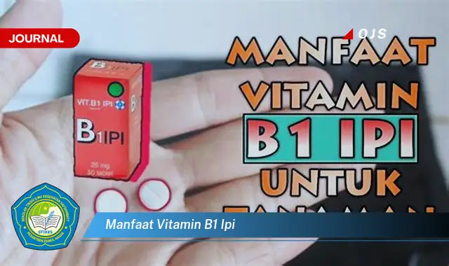 manfaat vitamin b1 ipi manfaat vitamin b1 ipi