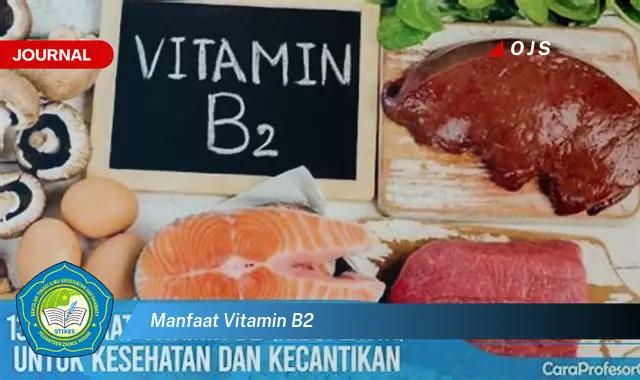 manfaat vitamin b2 manfaat vitamin b2