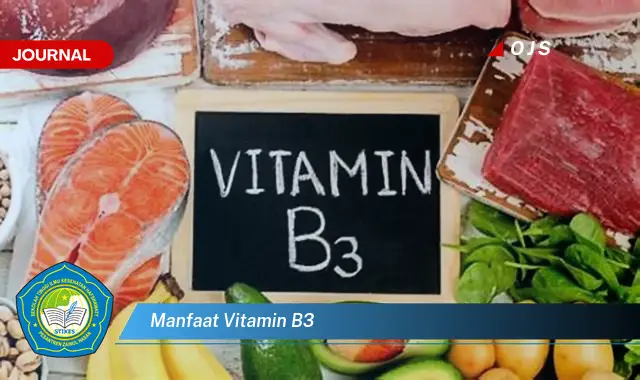 manfaat vitamin b3 manfaat vitamin b3