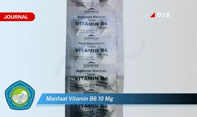 manfaat vitamin b6 10 mg