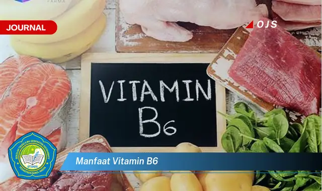 manfaat vitamin b6 manfaat vitamin b6