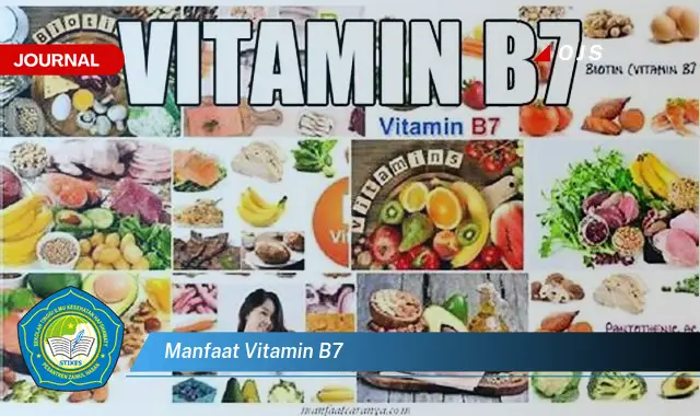 manfaat vitamin b7 manfaat vitamin b7