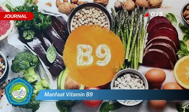 manfaat vitamin b9