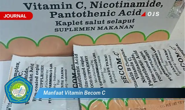 manfaat vitamin becom c