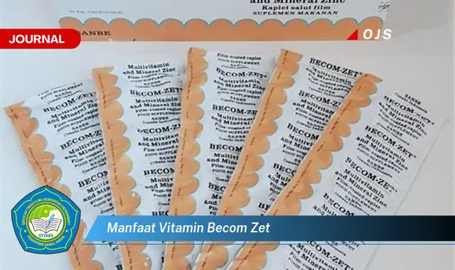 manfaat vitamin becom zet manfaat vitamin becom zet